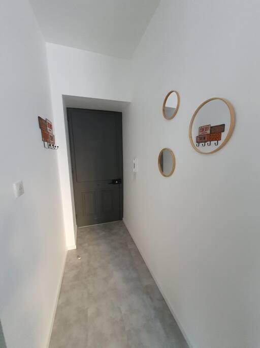 Roanne Centre, Appartement Refait A Neuf. Εξωτερικό φωτογραφία